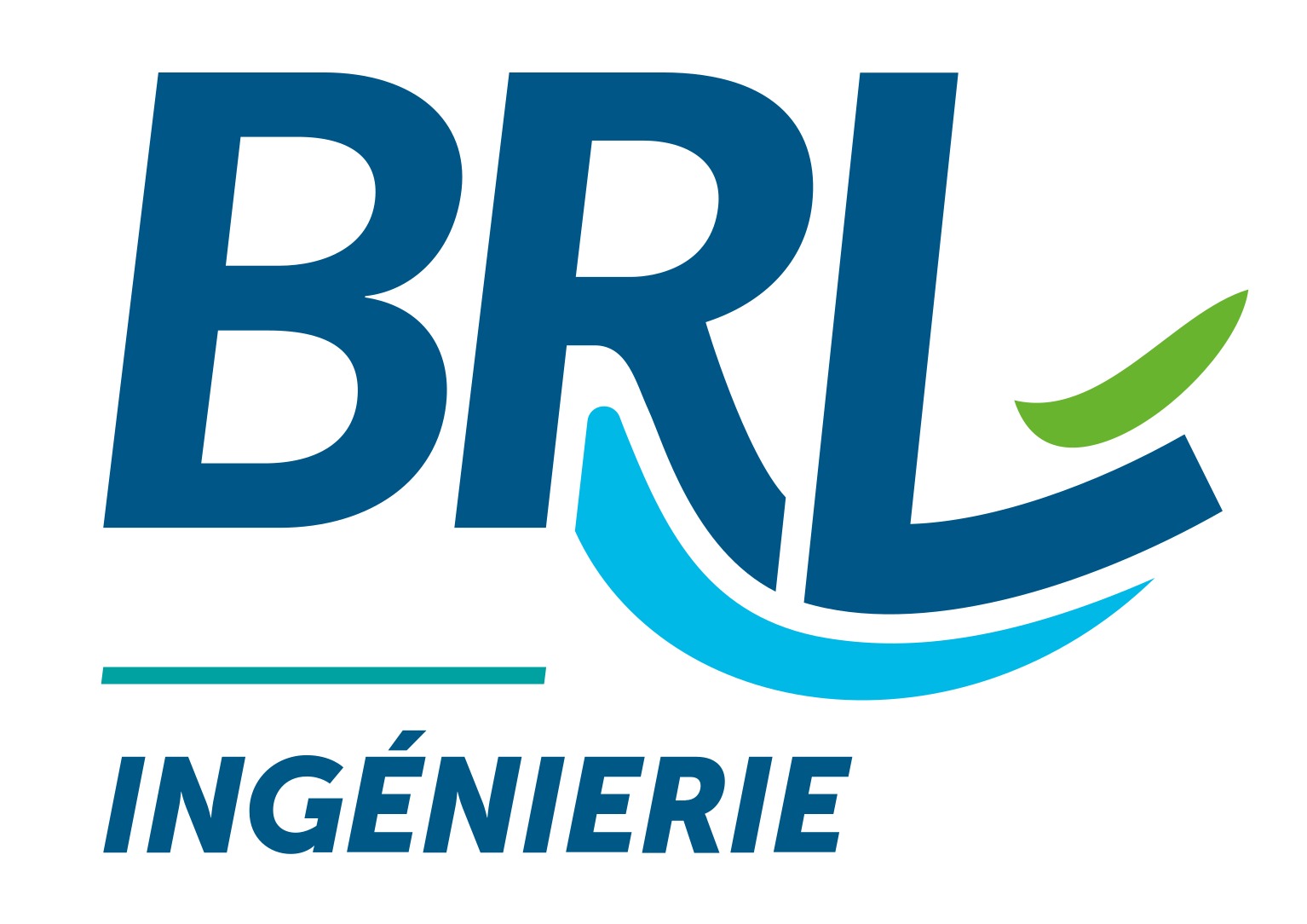 B.R.L.INGENIERIE (BRLI)