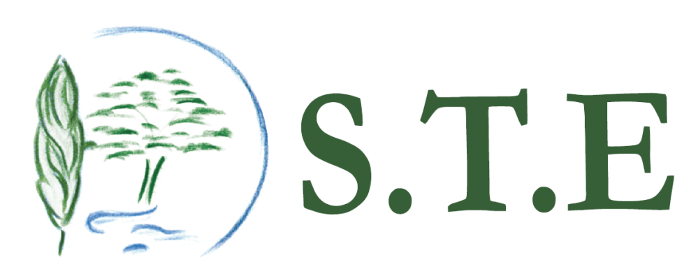 SOCIETE DE TRAVAUX ET DE L'ENVIRONNEMENT