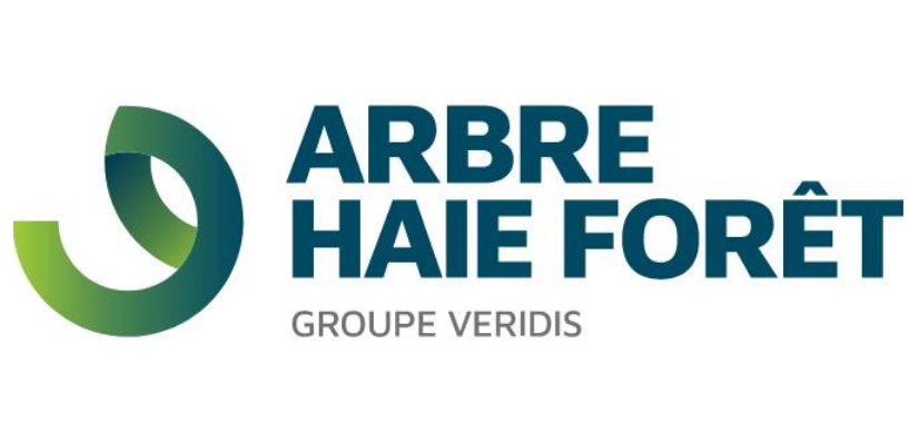 ARBRE HAIE FORET