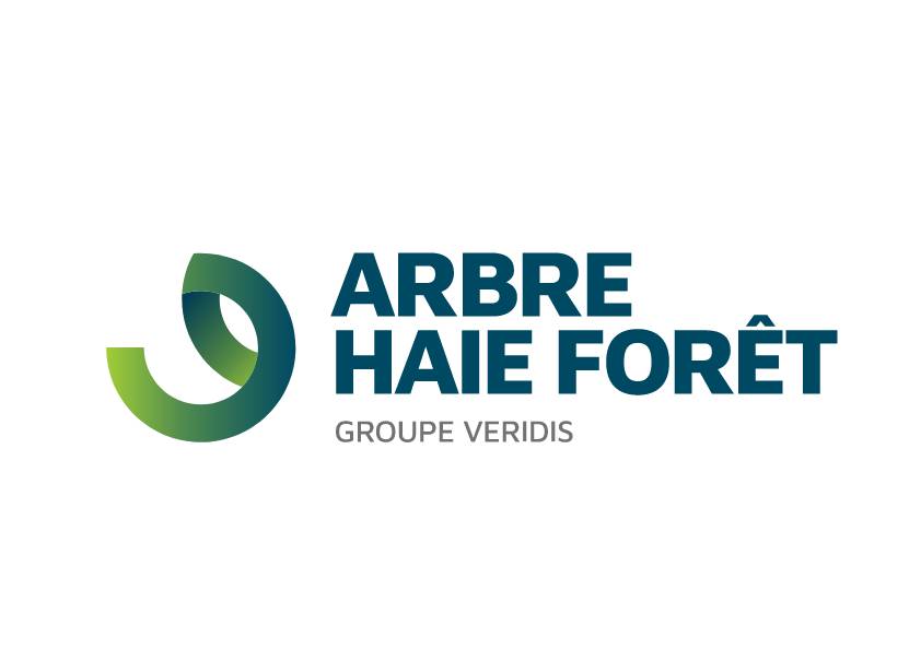 ARBRE HAIE FORET