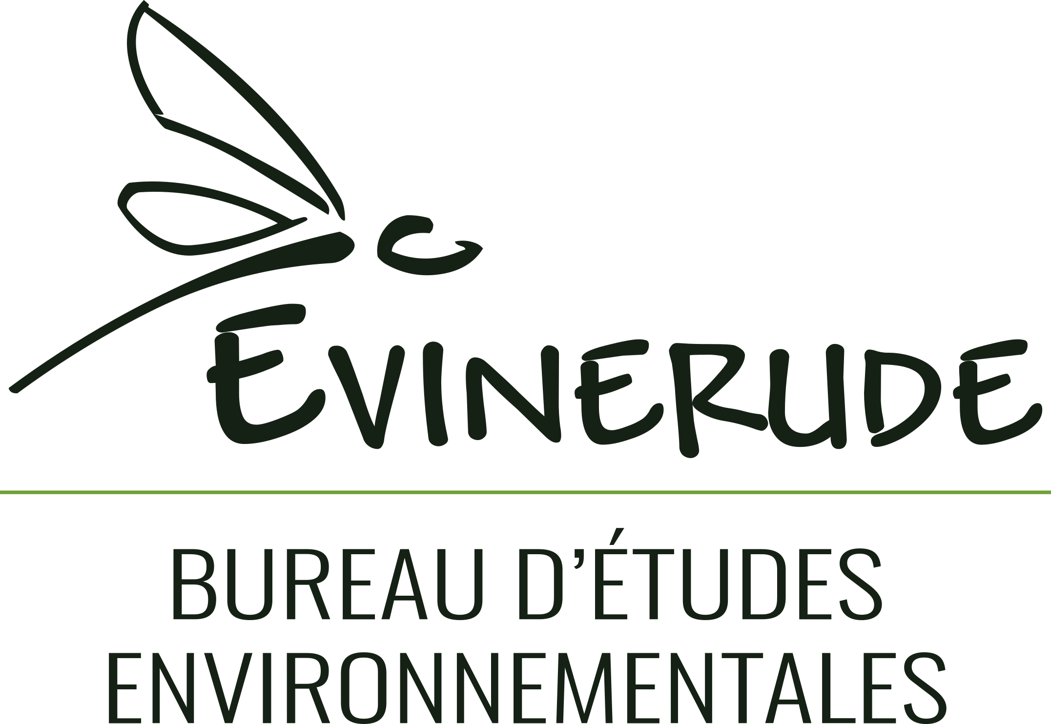 EVINERUDE