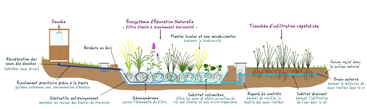 Résultat de recherche d'images pour "phytoépuration"