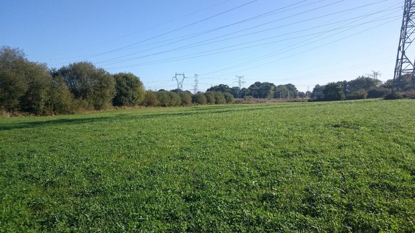 Génie écologique et agronomie : un mutualisme bénéfique