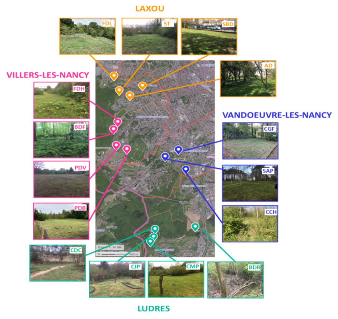 Carte des différents points échantillonnés dans le cadre du projet Trame Brune. © Sol &co