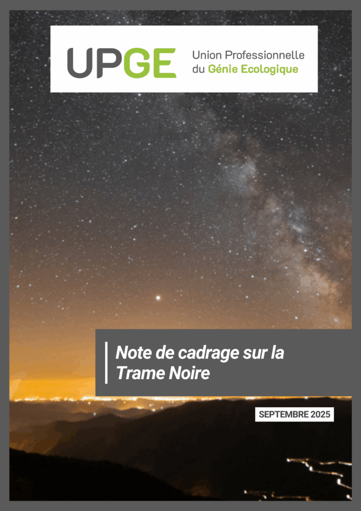 Note de cadrage sur la trame noire